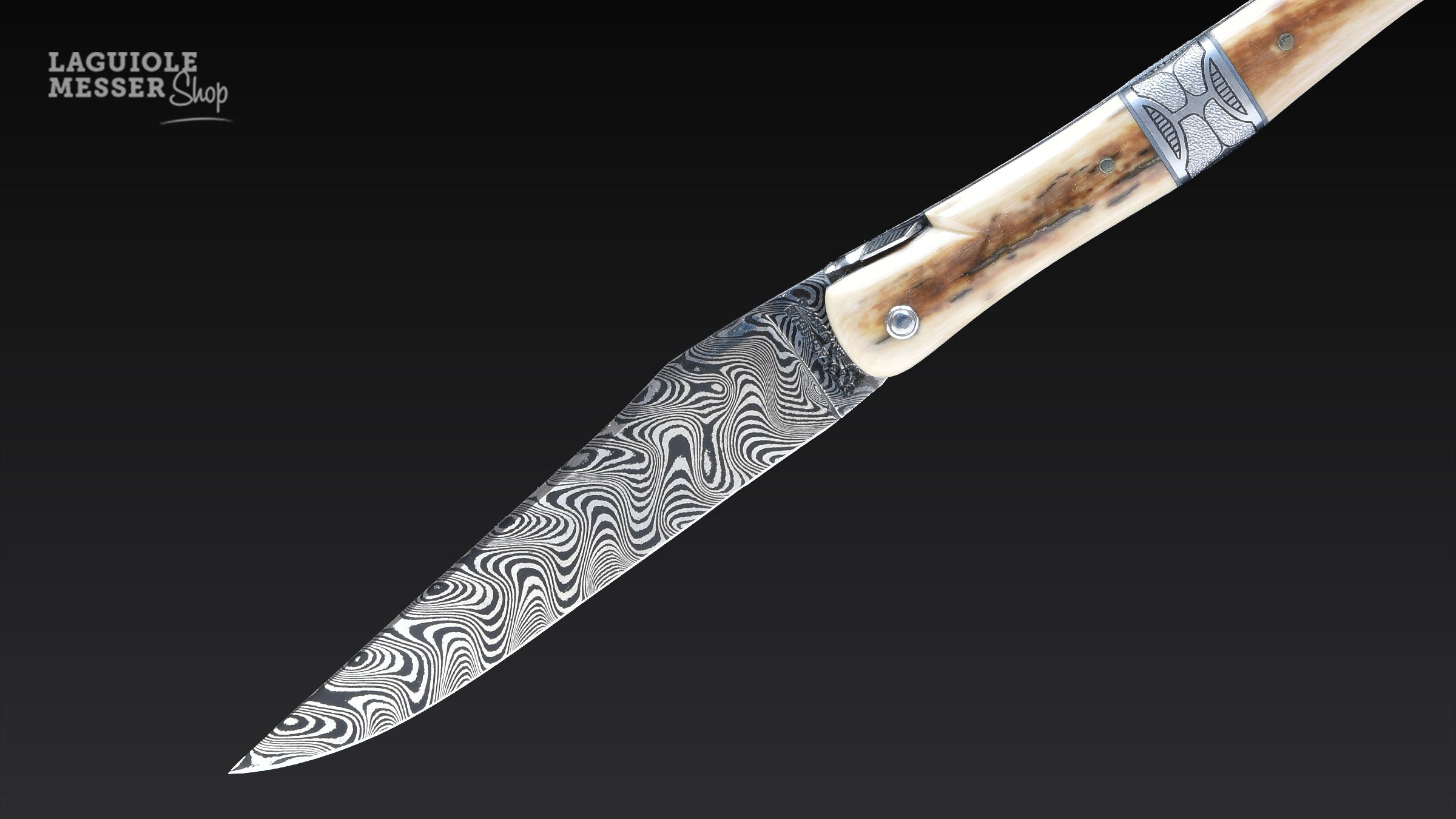 Detailaufnahme croûte d’ivoire de mammouth mit Creme- und Brauntönen